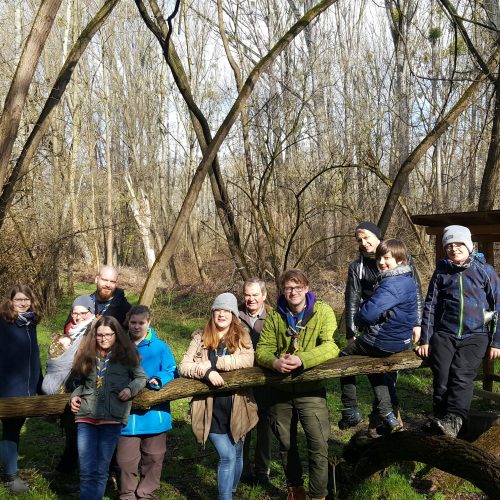 Herrliches Wetter beim Waldspaziergang