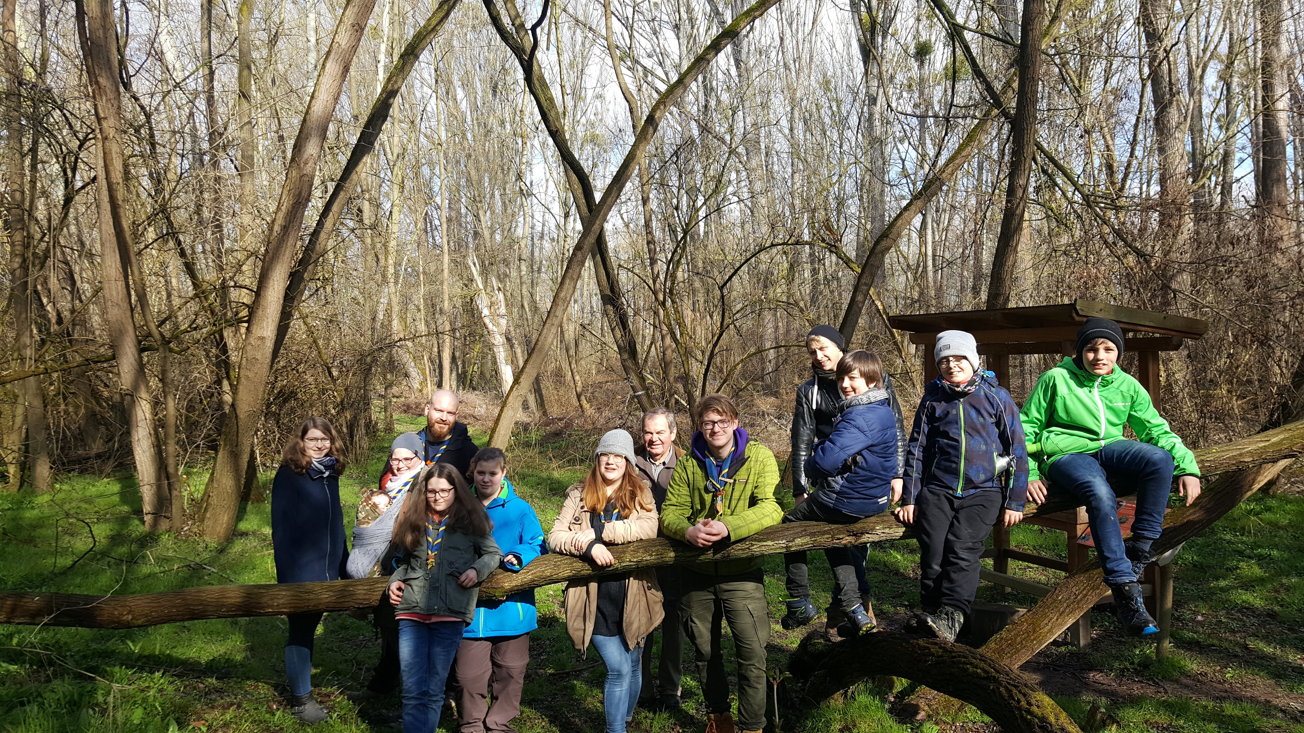 Herrliches Wetter beim Waldspaziergang